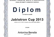 Diplom-Bene-Jabotron cup 2013